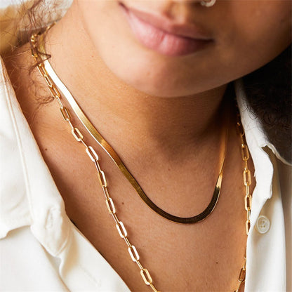 Sleek Harmony: Minimalist Double-Layer Snake and Chain Necklace