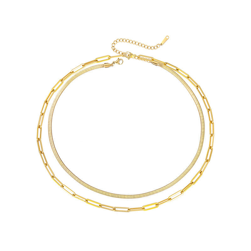 Sleek Harmony: Minimalist Double-Layer Snake and Chain Necklace