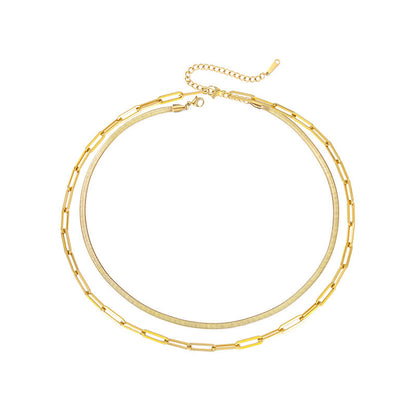 Sleek Harmony: Minimalist Double-Layer Snake and Chain Necklace