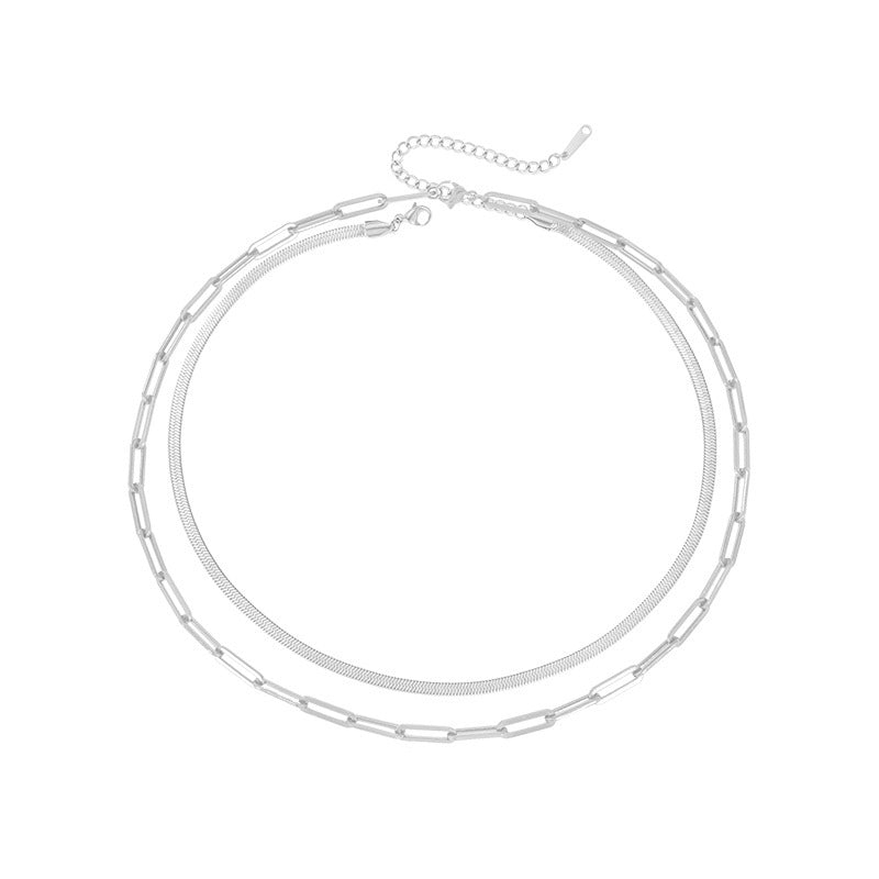 Sleek Harmony: Minimalist Double-Layer Snake and Chain Necklace